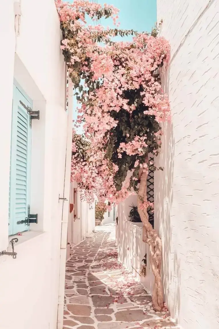 Strolling Around in Greece in the Summer