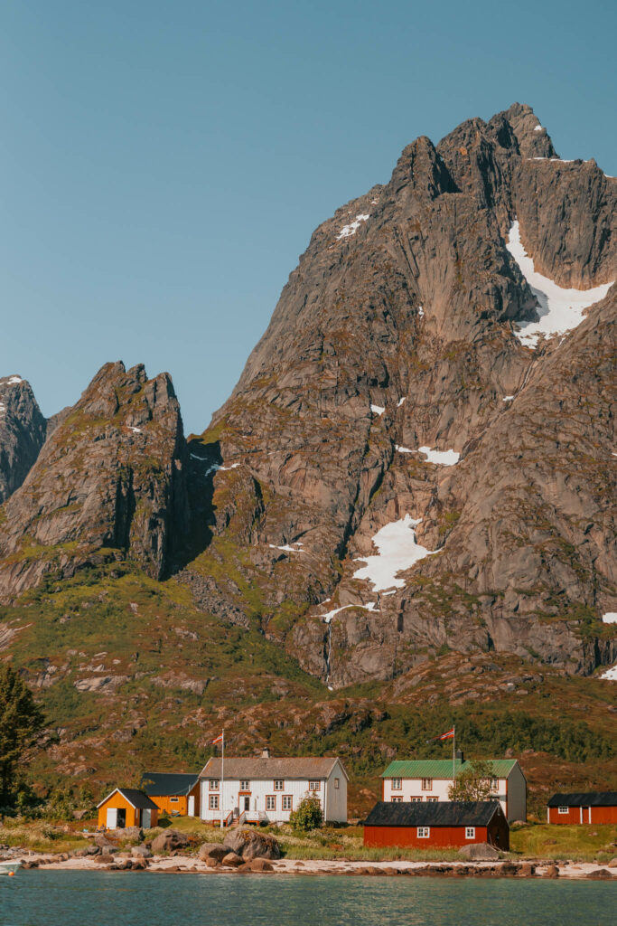 sea eagle safari lofoten
