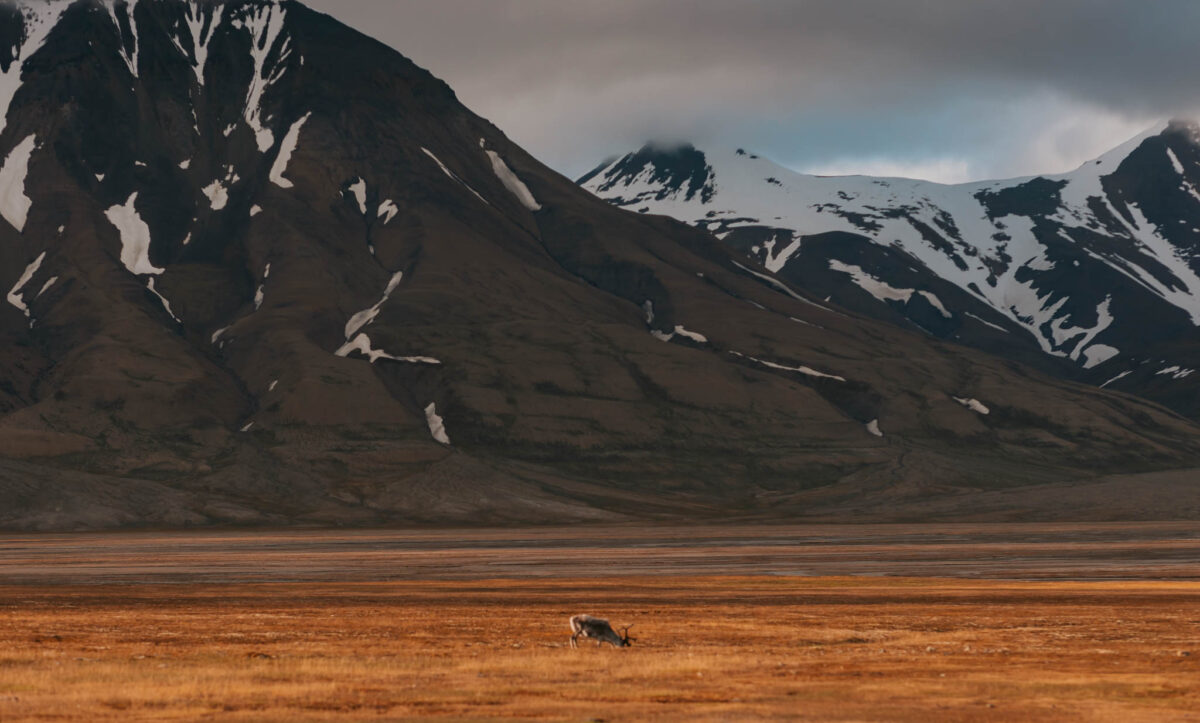 midnight sun itinerary