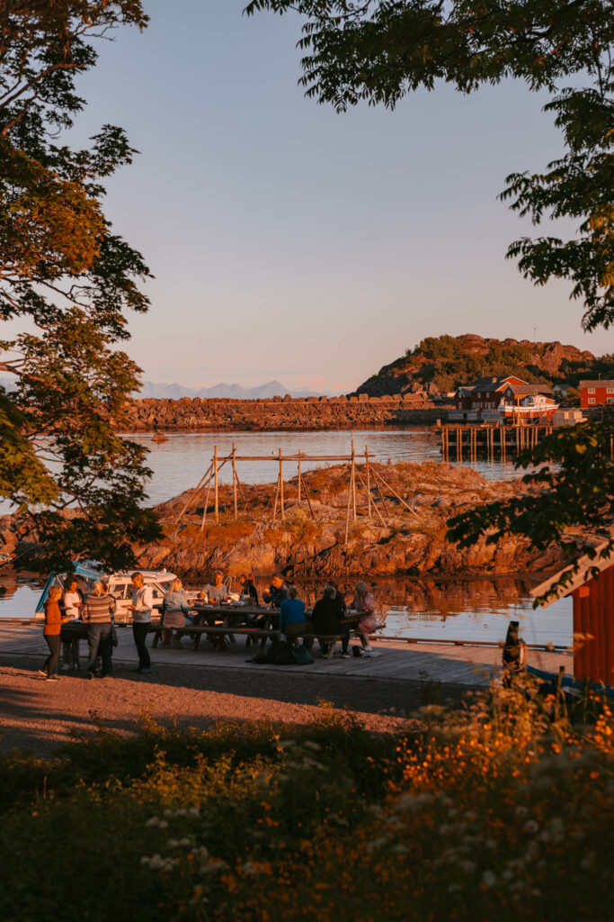 Lofoten islands in summer