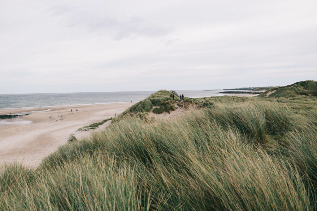 northumberland coast