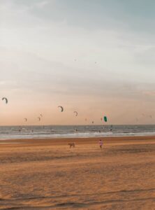 Beaches in The Hague