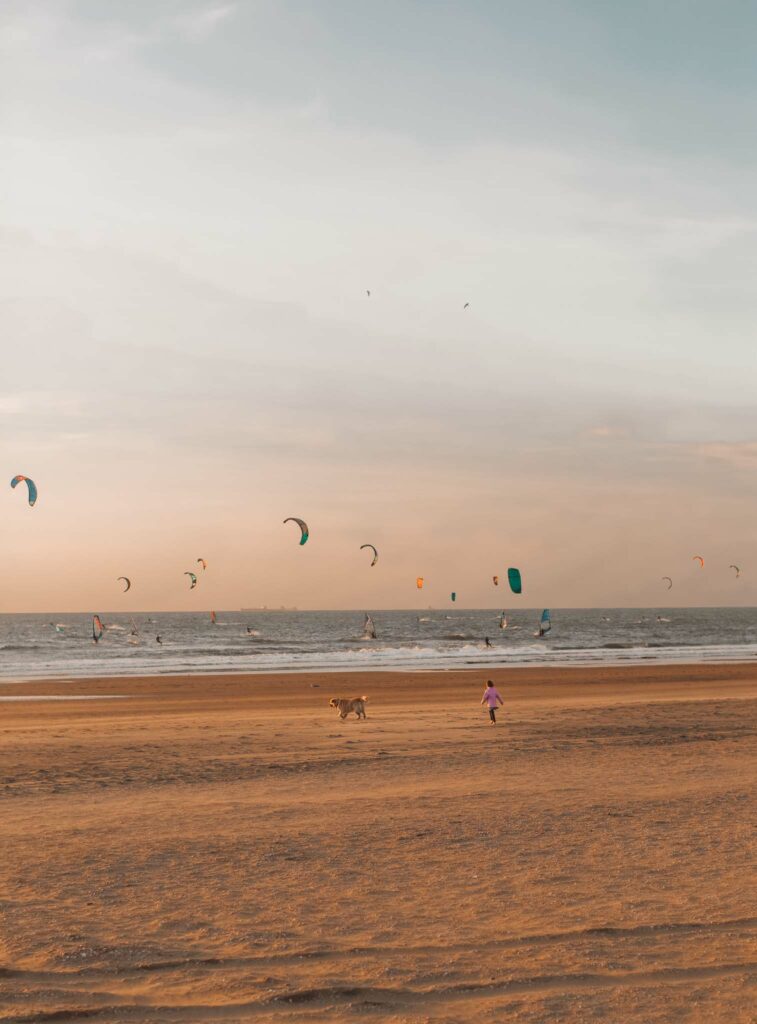 Beaches in The Hague