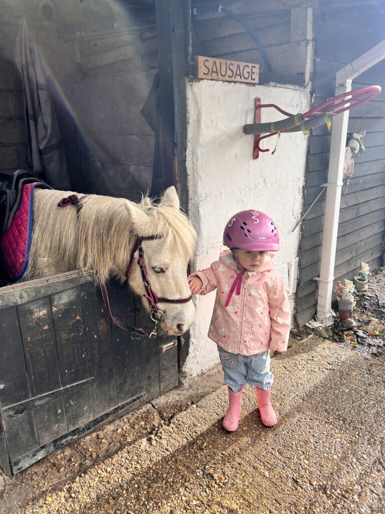 horse riding for kids in the new forest