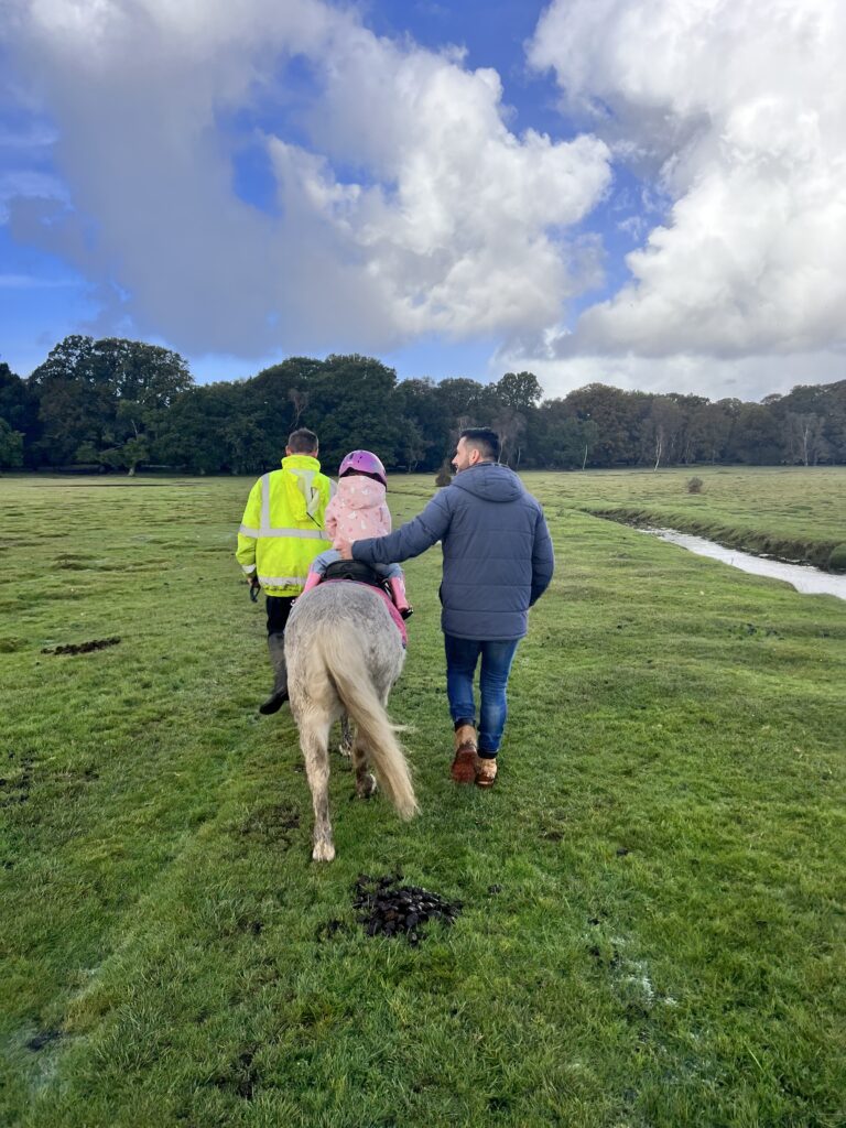 things to do with kids in the new forest