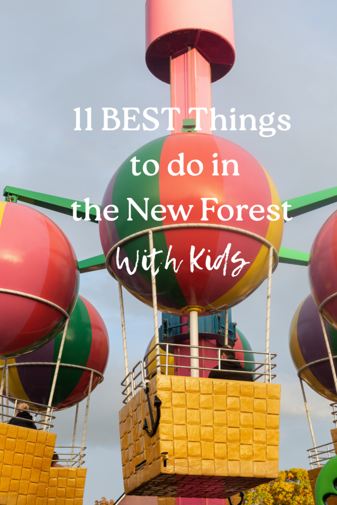 best things to do in the new forest with kids