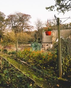 things to do northumberland