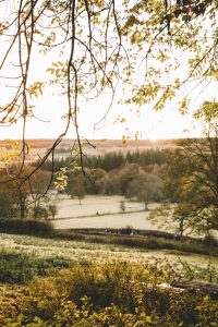 things to do northumberland