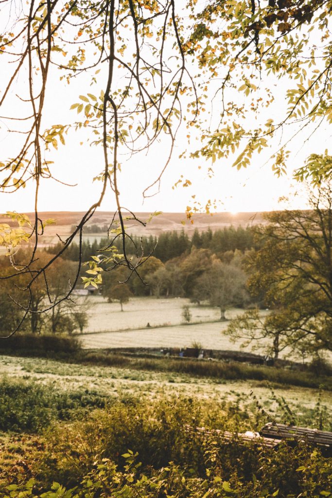 things to do northumberland