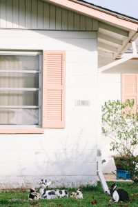 10 things to do on Anna Maria Island