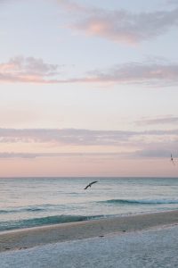 10 things to do on Anna Maria Island