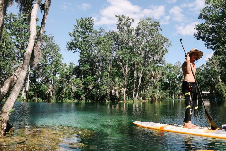 Swimming with Manatees on Crystal River