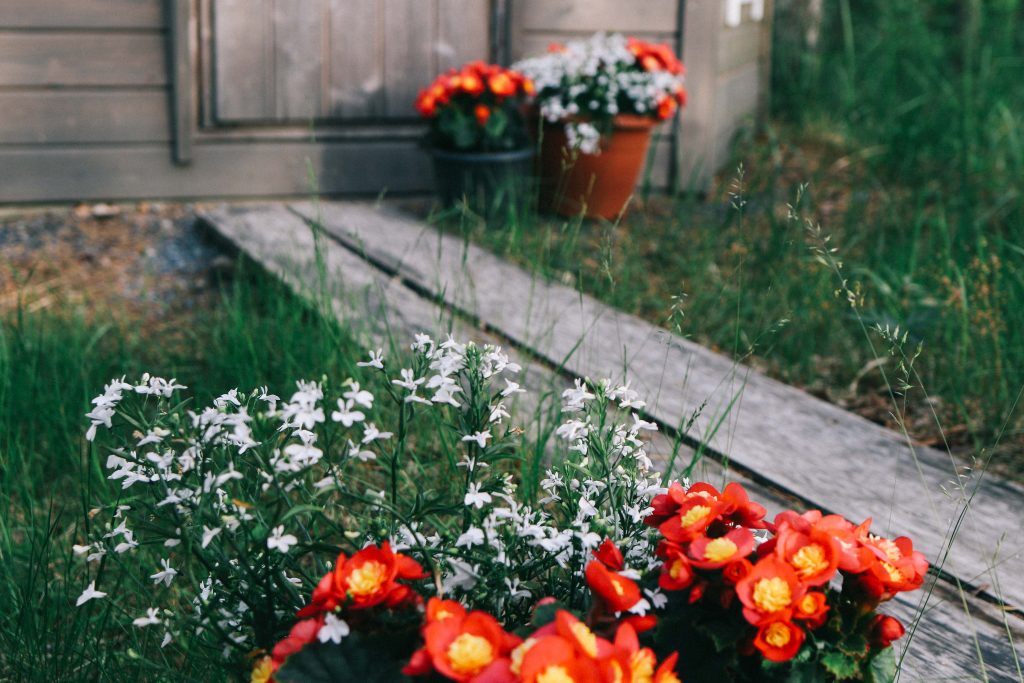 Our cottage via Mokkiavain Cottages. Pots of red and white flowers outside the log cabin in Tampere.