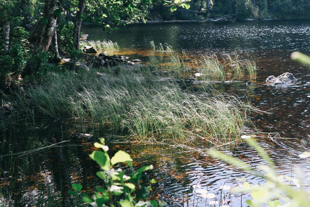 Helvetinjärvi National Park. A large lake found in Finland's Helvetinjärvi National Park.