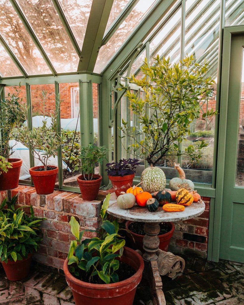 baby friendly stay at the pig hotel