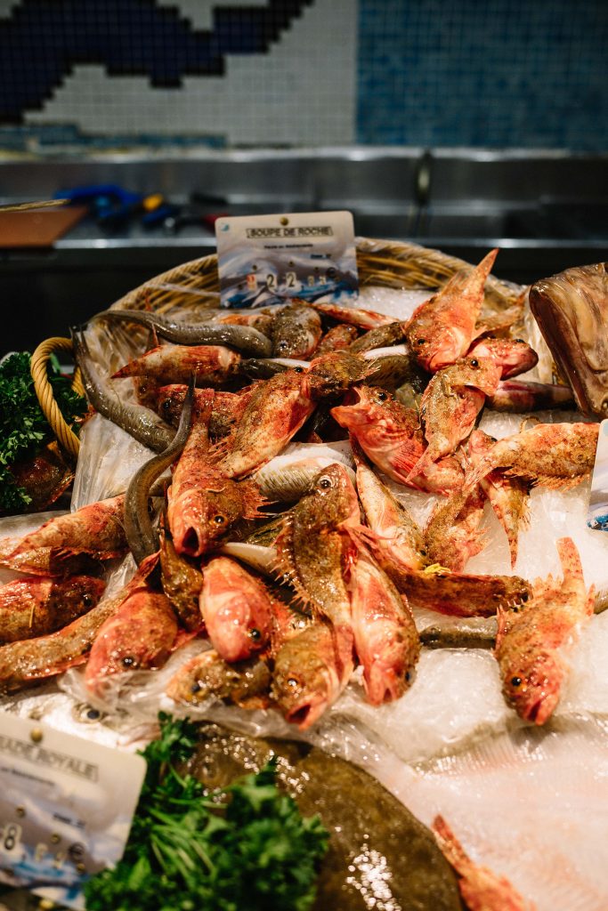 A guide to autumn in Provence