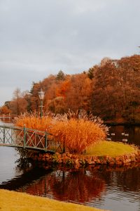 Ideas for Days out in Somerset