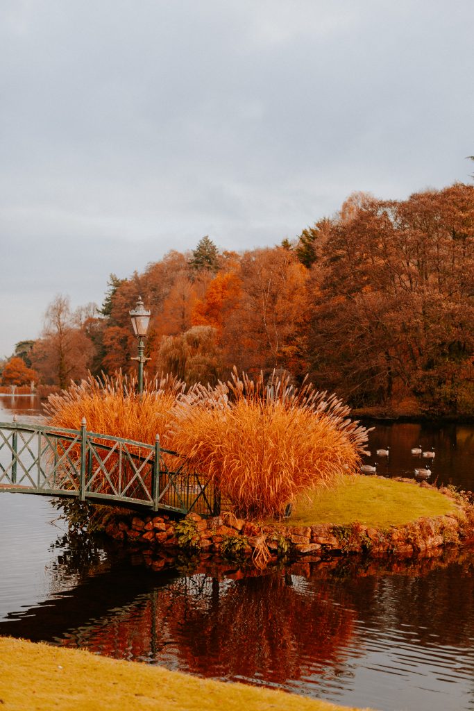Ideas for Days out in Somerset