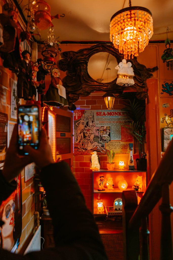 cosiest cafes in reykjavik