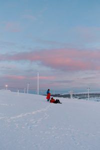 Inghams Lapland
