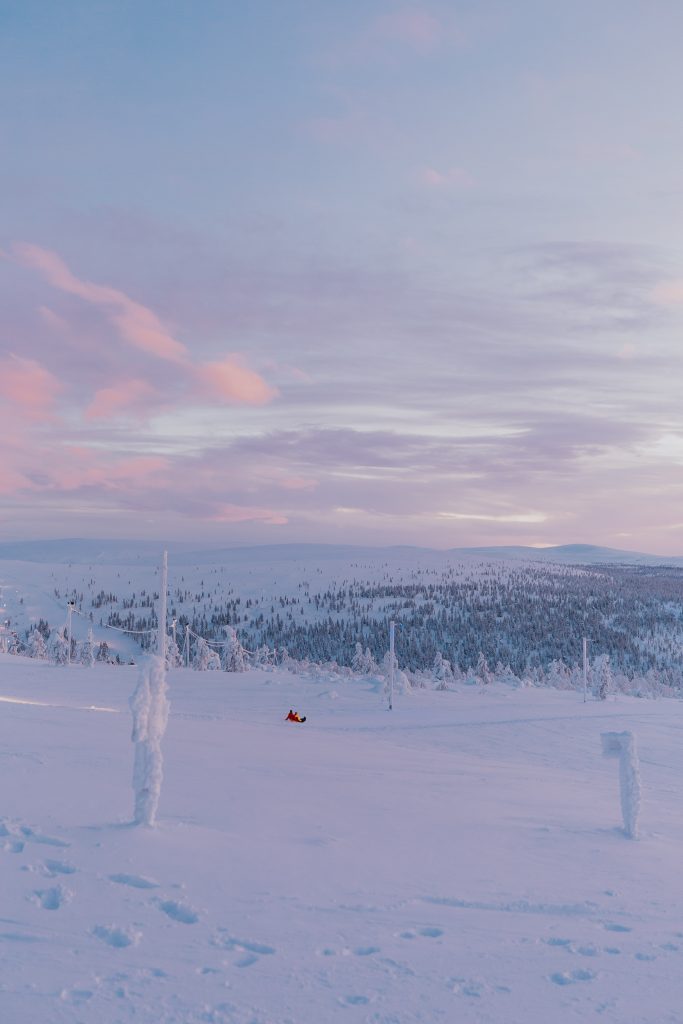 Inghams Lapland