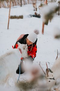 hotels is saariselkä