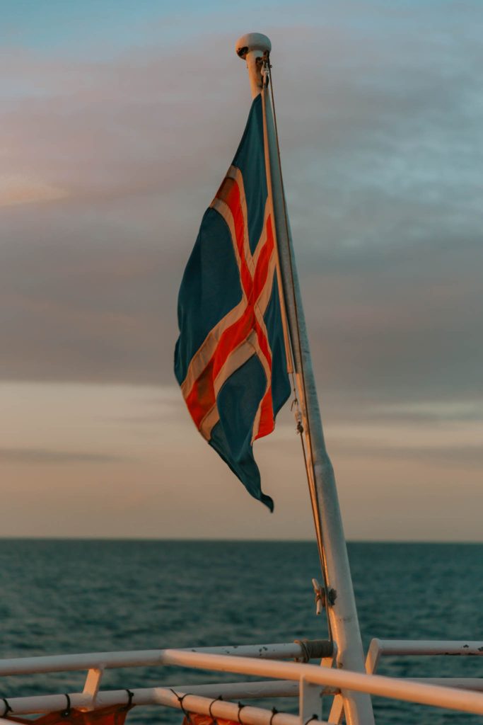 whale watching Iceland