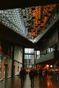 cosiest cafes in reykjavik