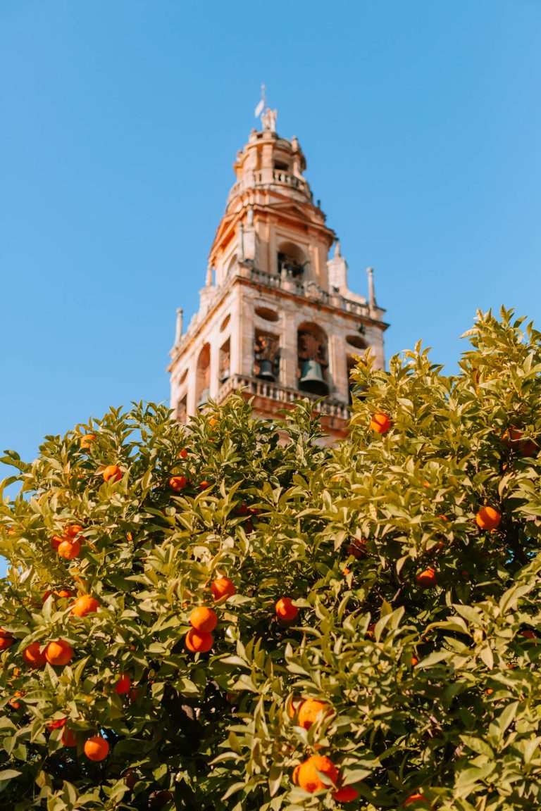 day trip to cordoba