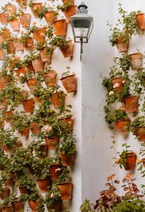 courtyards of cordoba