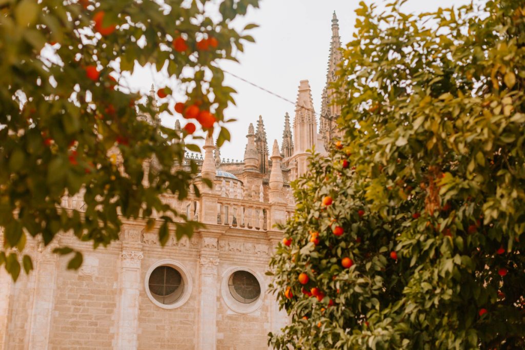 seville in winter