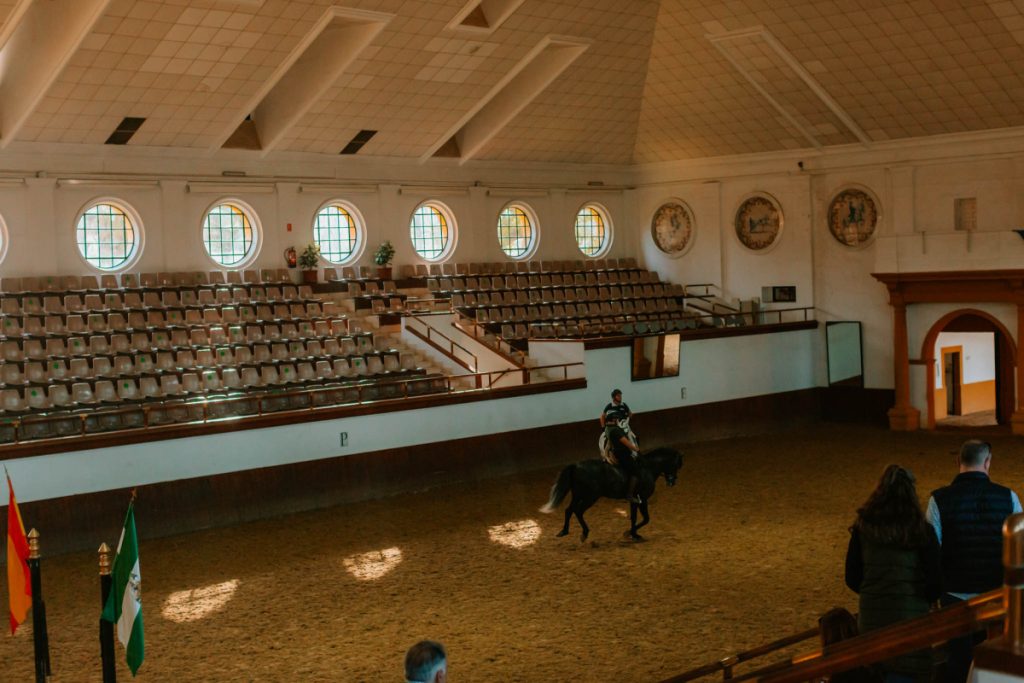 Royal Andalusian School of Equestrian Ar