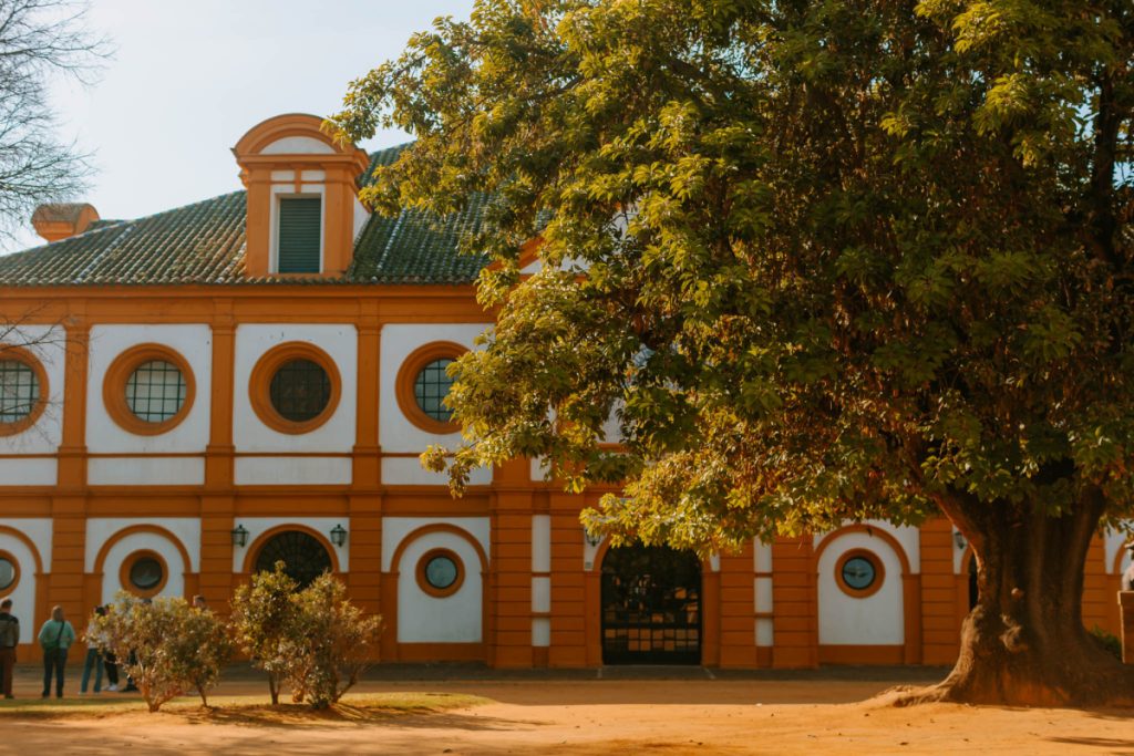 things to do in jerez de la frontera