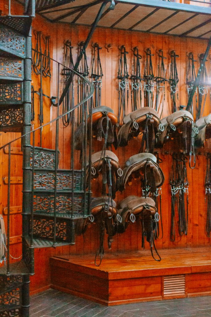 tack room royal andalusian school of equestrian art