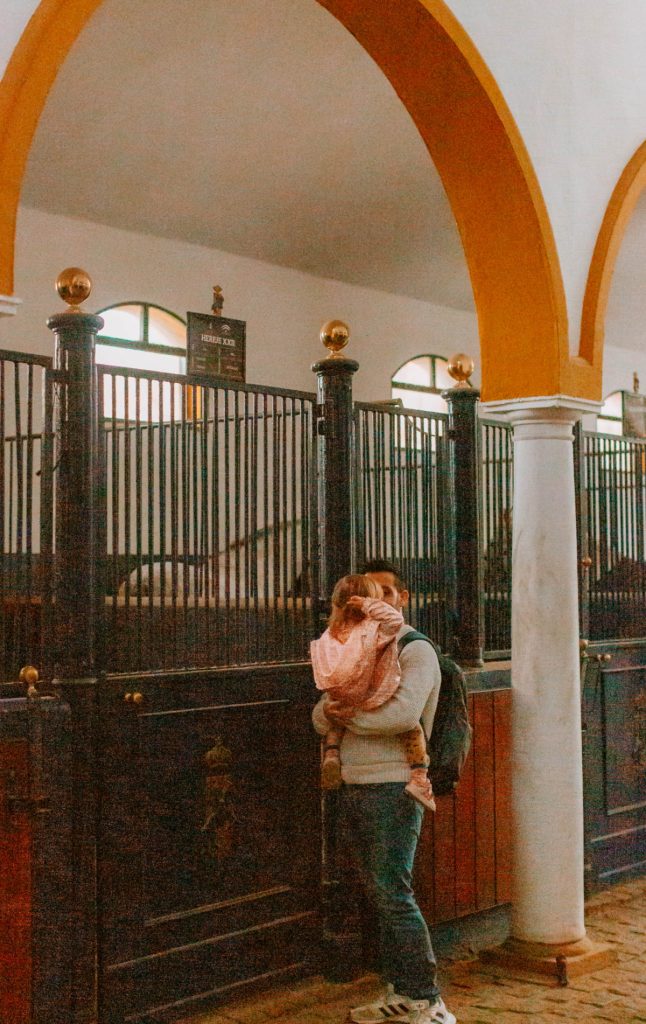 visiting royal andalusian school of equestrian art