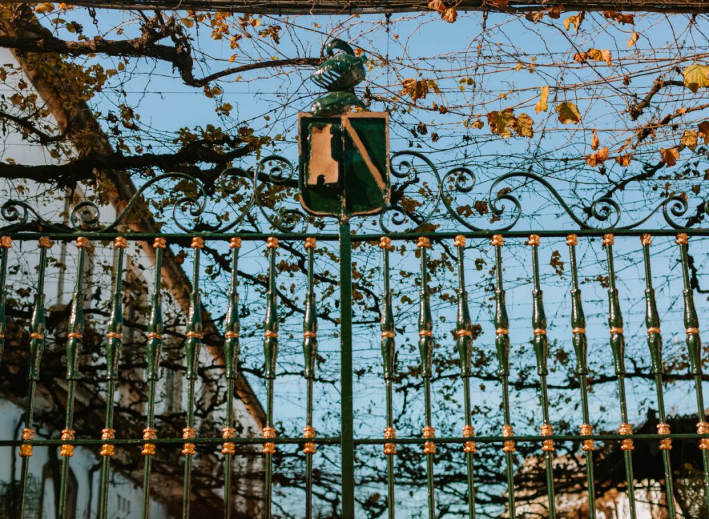 things to do in jerez de la frontera