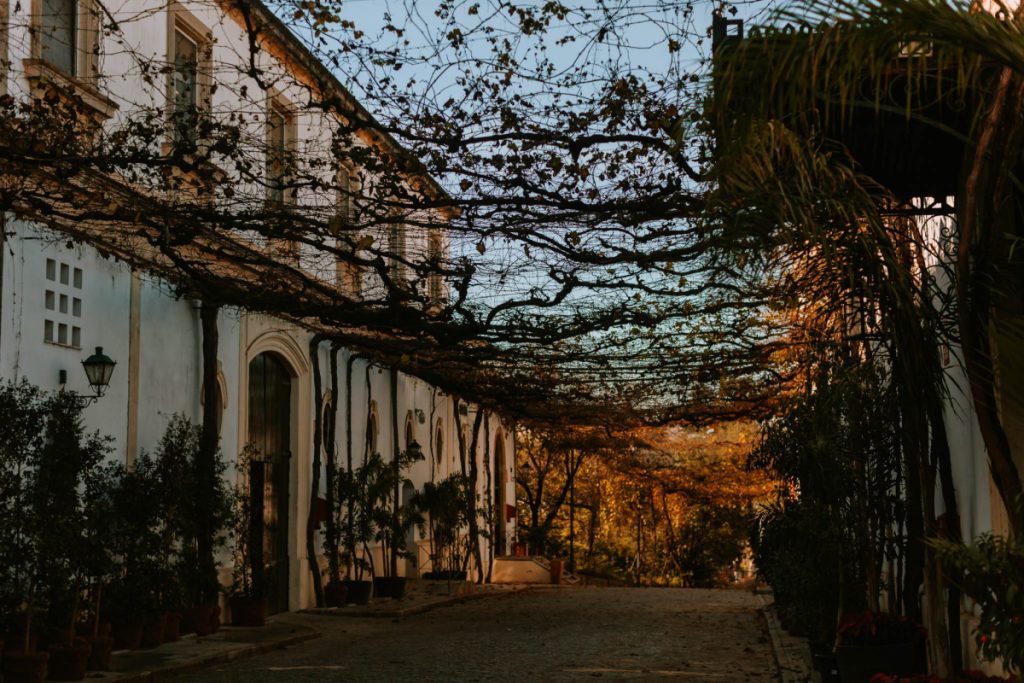 bodegas jerez de la frontera