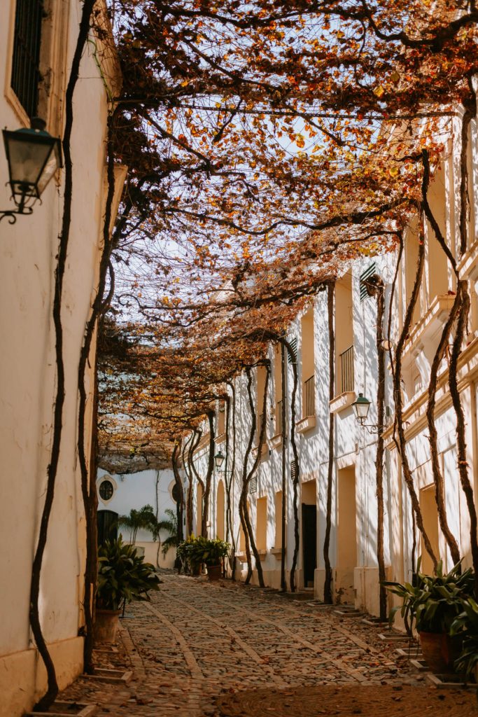 jerez de la frontera sherry