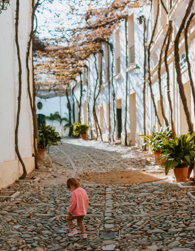 sherry vineyards jerez