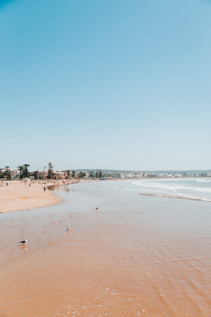 Things to do in Essaouira