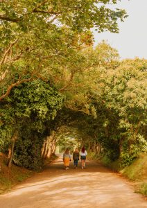 hikes in sark