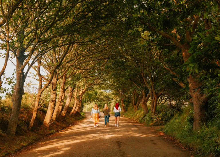 is sark worth visiting?