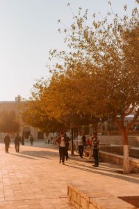 Bukhara at sunset