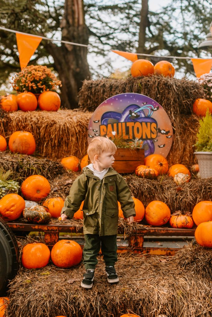 paultons park for toddlers