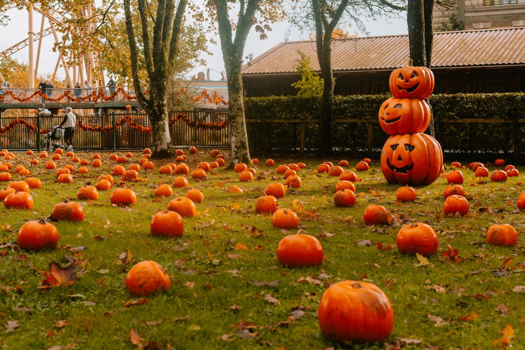 paultons park guide for toddlers