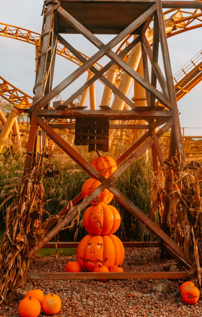 best theme park for toddlers