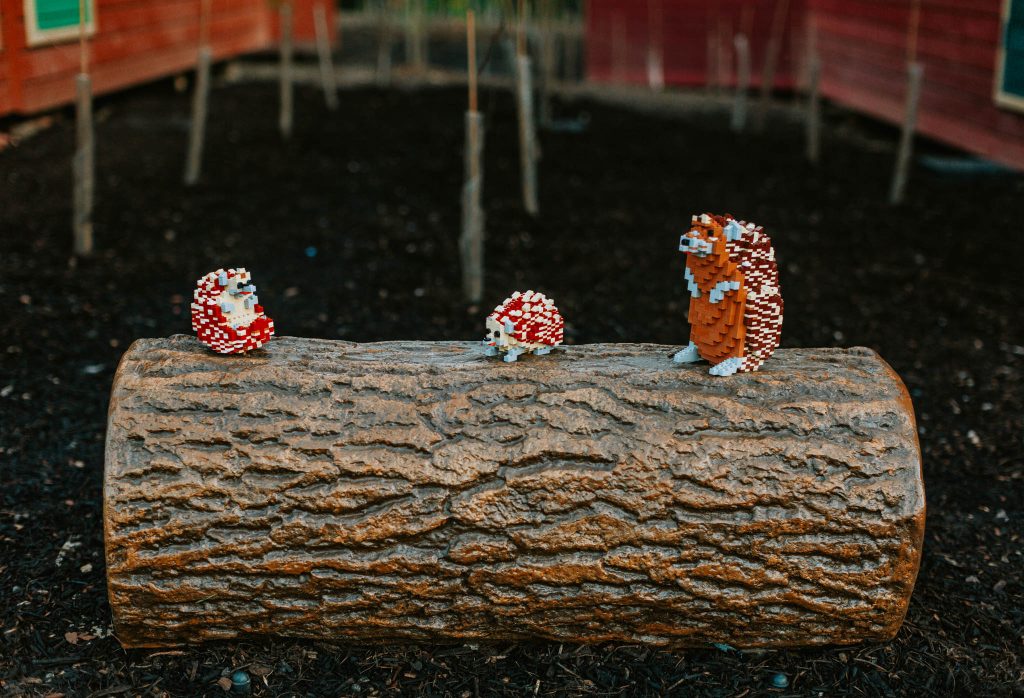 LEGOLAND Woodland Village review