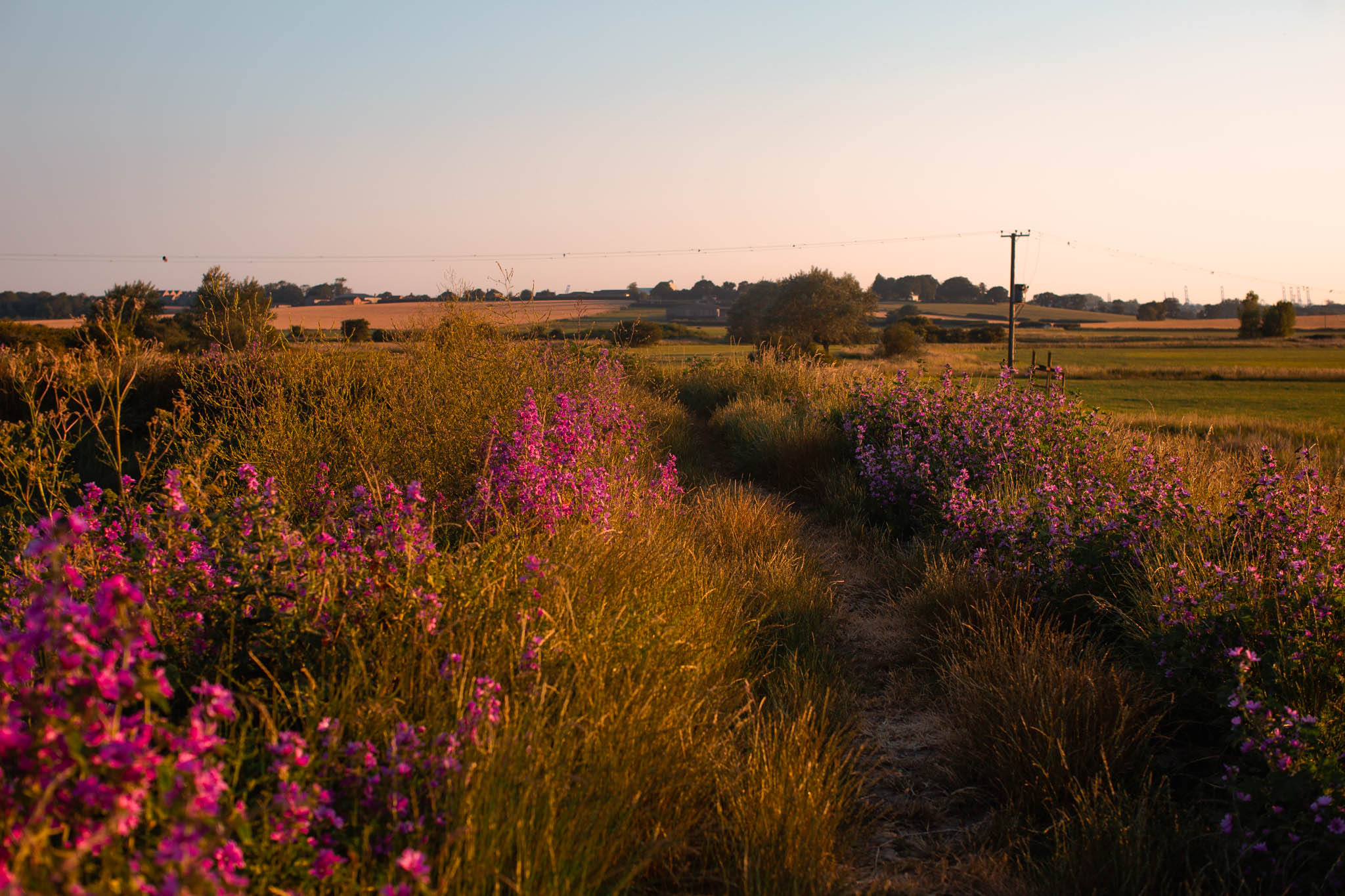 Best UK weekend family breaks