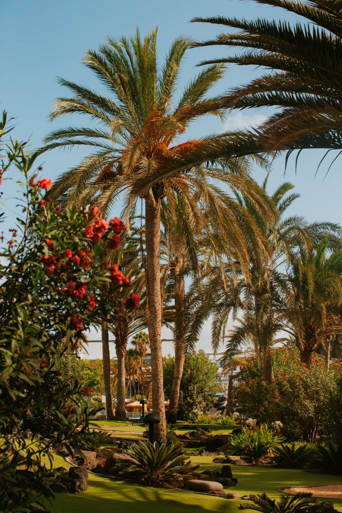packing list for lanzarote in october
