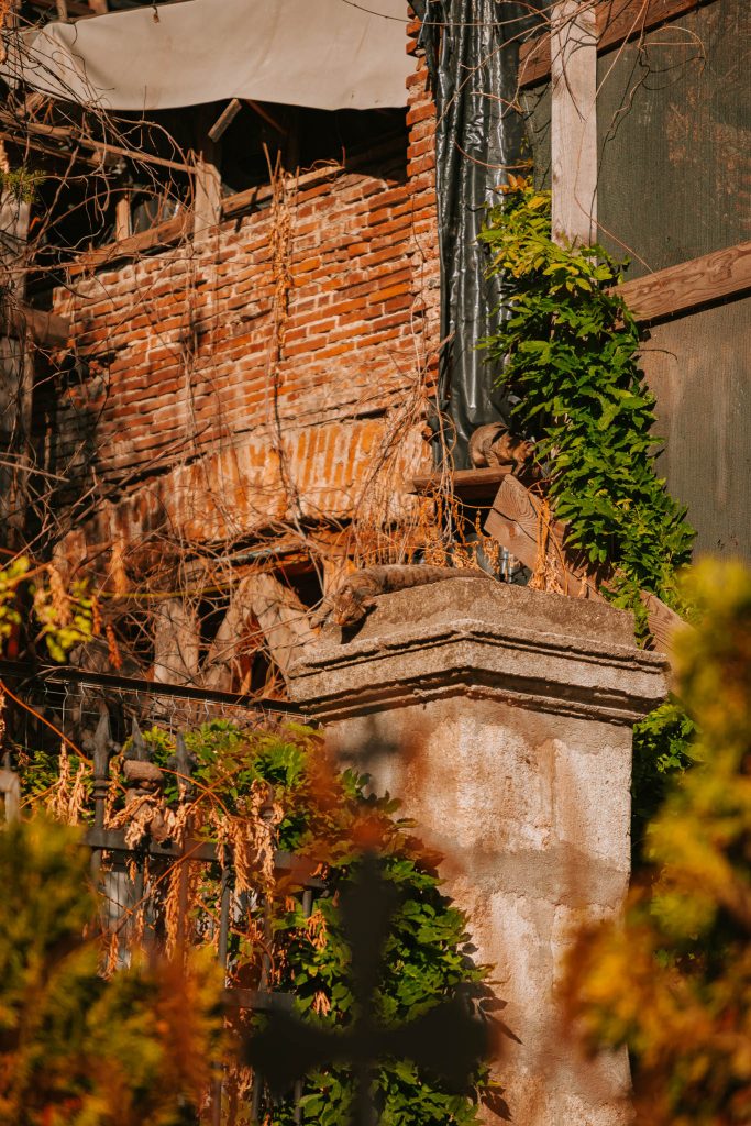 7 day Transylvania road trip